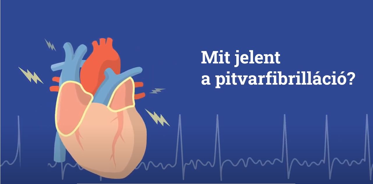 szív plusz egészségügyi gazdagság)